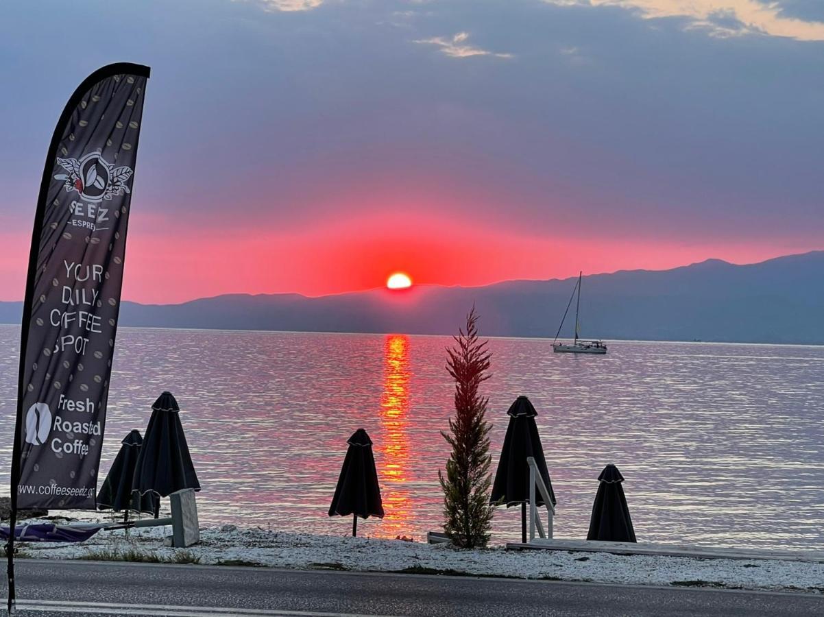 ホテル Orama Thassos スカラ・ソティロス エクステリア 写真