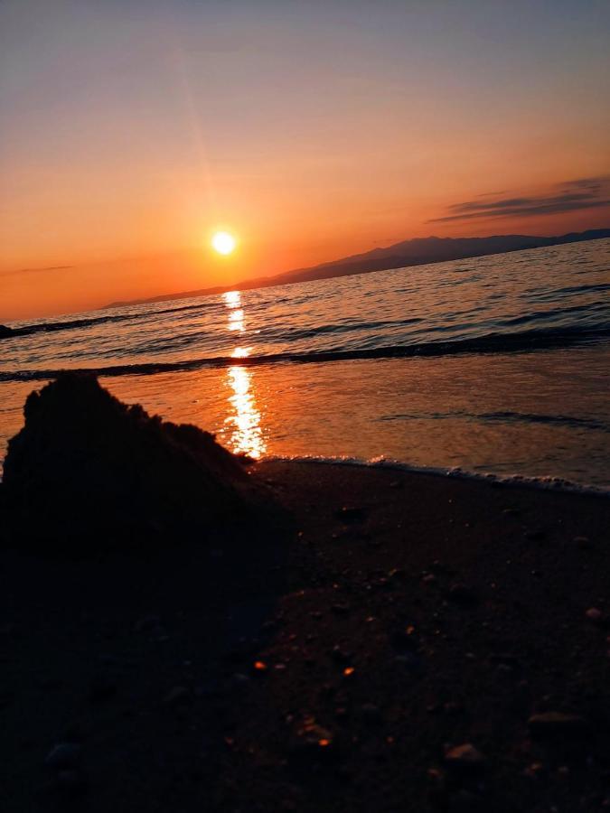 ホテル Orama Thassos スカラ・ソティロス エクステリア 写真
